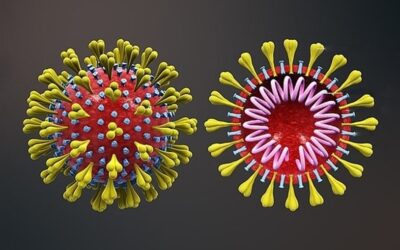 Coronavirus sarscov2.png