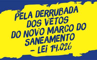Campanha derrubada dos vetos site