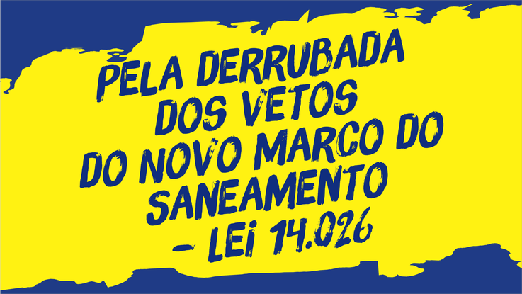 Campanha derrubada dos vetos site