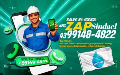 Zap Sindael 26 (Copy)