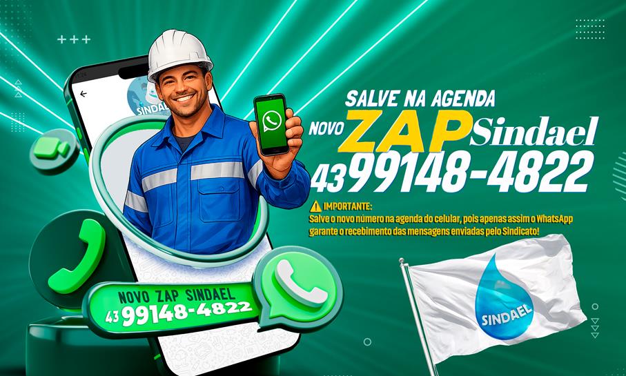 Zap Sindael 26 (Copy)