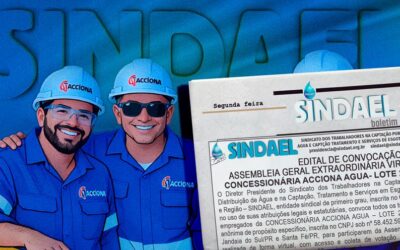 PLR img materia (Copy)